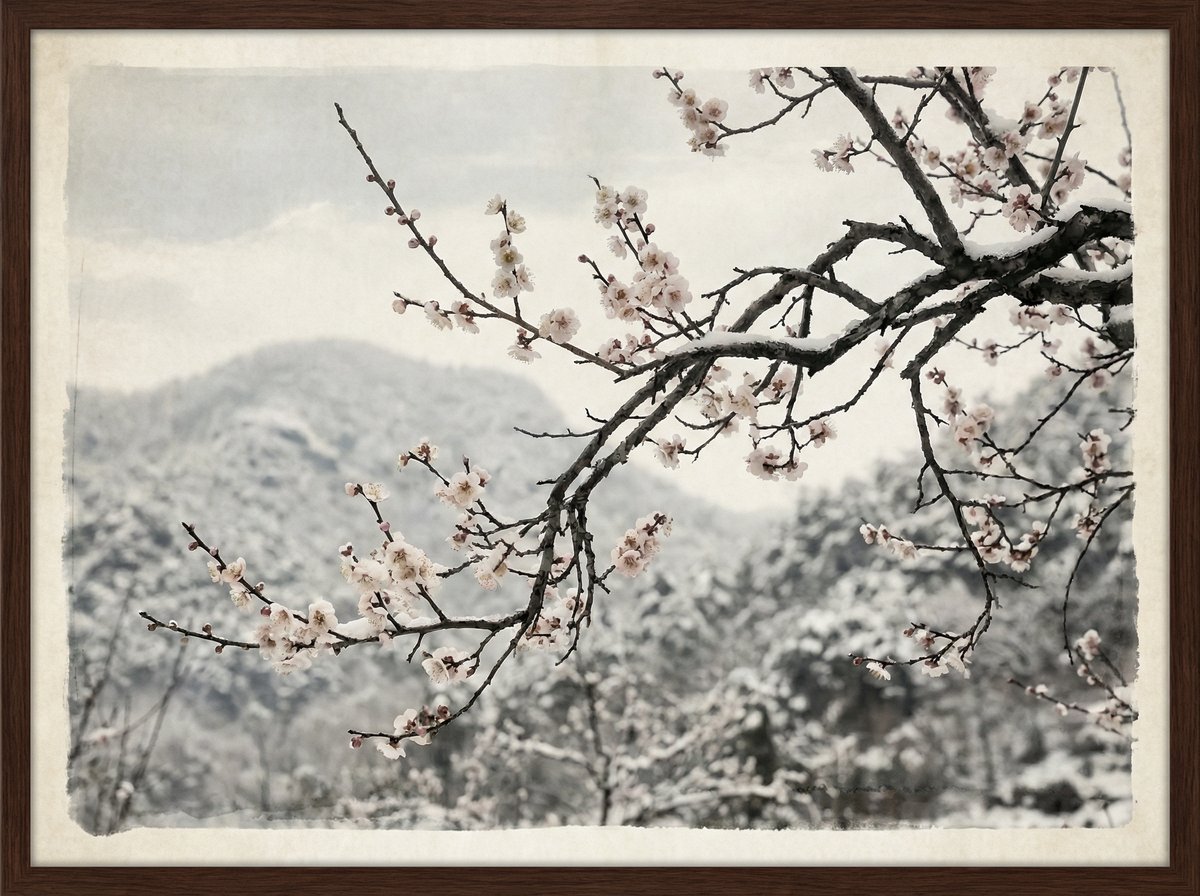 母狗官网梅花视频